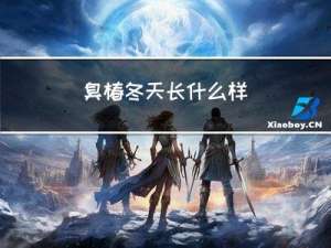 臭椿冬天长什么样