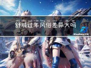 舒城过年风俗差异大吗
