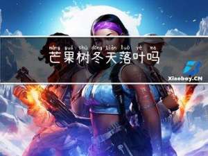 芒果树冬天落叶吗