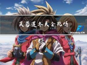 芙蓉莲冬天会死吗