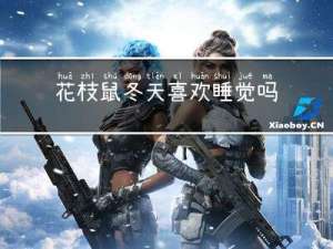花枝鼠冬天喜欢睡觉吗