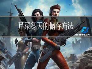 芹菜冬天的储存方法