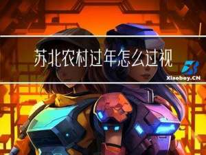 苏北农村过年怎么过视频