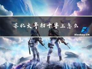 苏北大年初十早上怎么吃