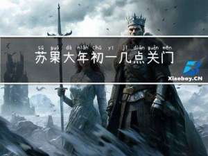 苏果大年初一几点关门