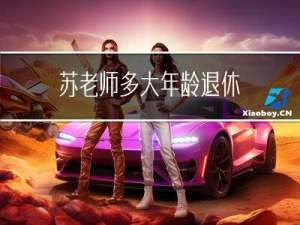 苏老师多大年龄退休