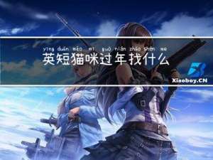 英短猫咪过年找什么