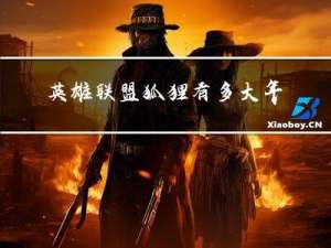 英雄联盟狐狸有多大年龄