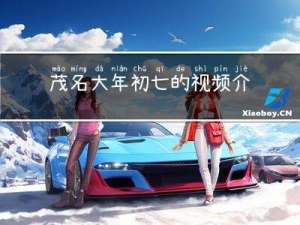 茂名大年初七的视频介绍