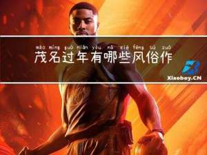 茂名过年有哪些风俗作文
