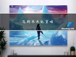 范斯冬天能穿吗