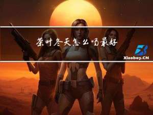 茶叶冬天怎么喝最好