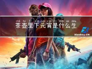 茶壶里下元宵是什么生肖
