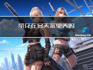 茶花在冬天家里养吗