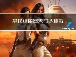 茶花小苗冬天可以移栽吗