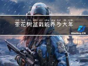 茶花树盆栽能养多大年龄