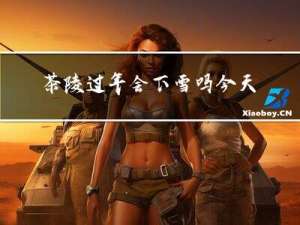 茶陵过年会下雪吗今天