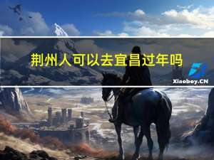 荆州人可以去宜昌过年吗