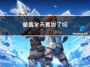 草莓冬天要拔了吗
