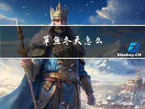 草鱼冬天怎么