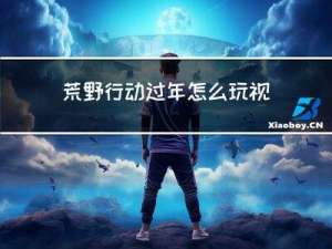 荒野行动过年怎么玩视频