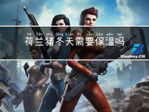 荷兰猪冬天需要保温吗