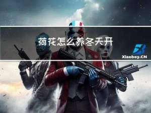 荷花怎么养冬天开