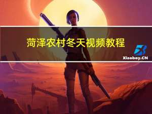 菏泽农村冬天视频教程