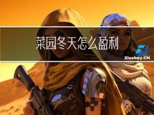 菜园冬天怎么盈利