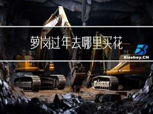 萝岗过年去哪里买花