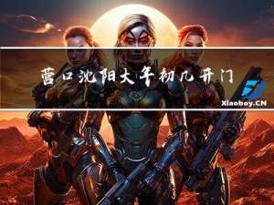 营口沈阳大年初几开门啊