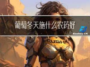 葡萄冬天施什么农药好
