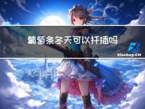 葡萄条冬天可以扦插吗