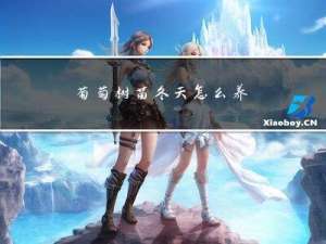 葡萄树苗冬天怎么养