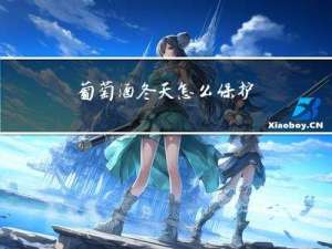 葡萄酒冬天怎么保护