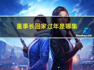 董事长回家过年是哪集