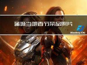蒲城当地春节菜品照片介绍
