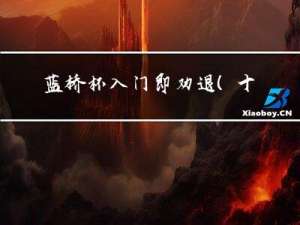 蓝桥杯入门即劝退（十九）两两交换链表