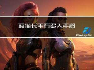 蓝猫长毛有多大年龄
