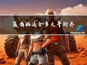 蓝白猫适合多大年龄养狗