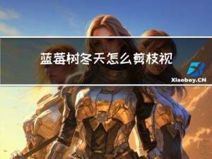 蓝莓树冬天怎么剪枝视频