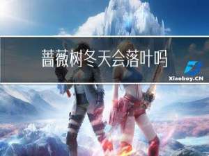 蔷薇树冬天会落叶吗