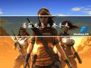 蔷薇花怎么养冬天