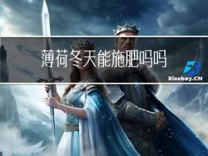 薄荷冬天能施肥吗吗