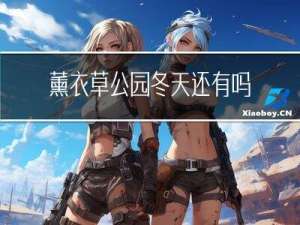 薰衣草公园冬天还有吗