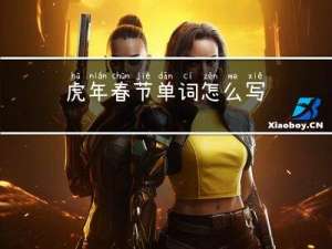 虎年春节单词怎么写