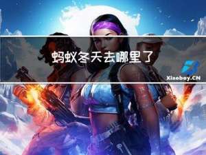 蚂蚁冬天去哪里了