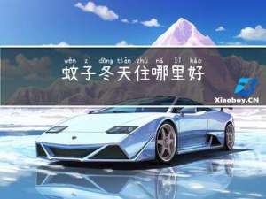 蚊子冬天住哪里好