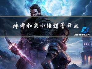 蚌埠和泉小镇过年开业了吗