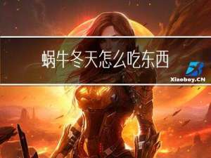 蜗牛冬天怎么吃东西